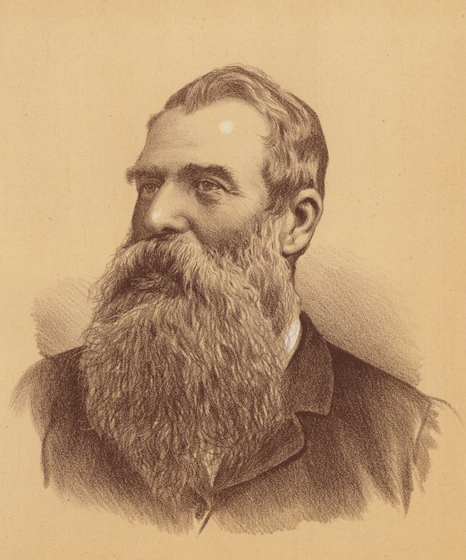 William Henry Paling, Esquire (barevná litografie) od Australian School