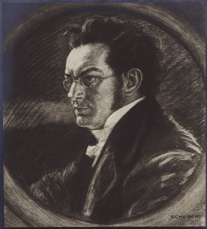 Portrét Franze Schuberta od Austrian School