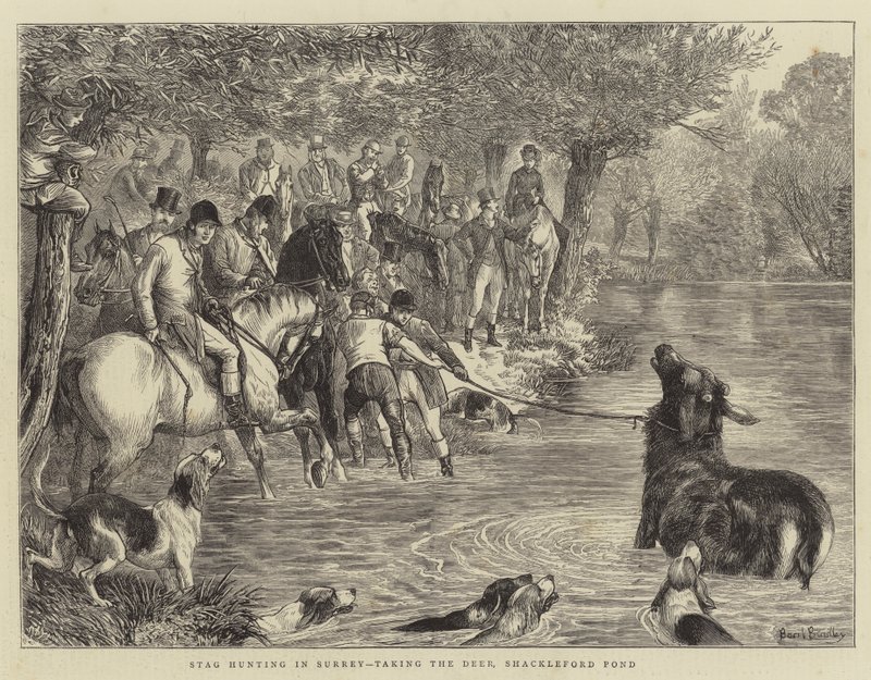 Lov jelenů v Surrey, chytání jelenů, Shackleford Pond od Basil Bradley