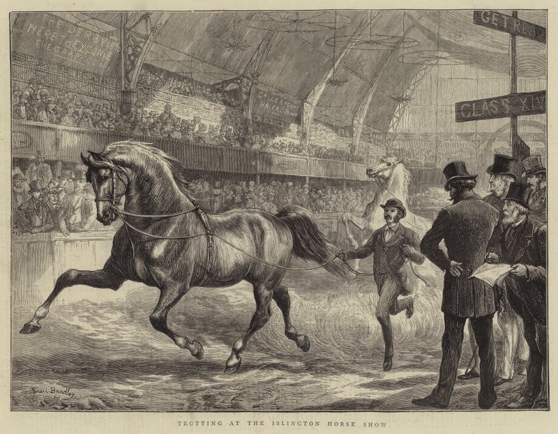 Klus na Islington Horse Show od Basil Bradley