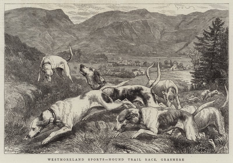 Westmoreland Sports, Zkušební závod honičů, Grasmere od Basil Bradley