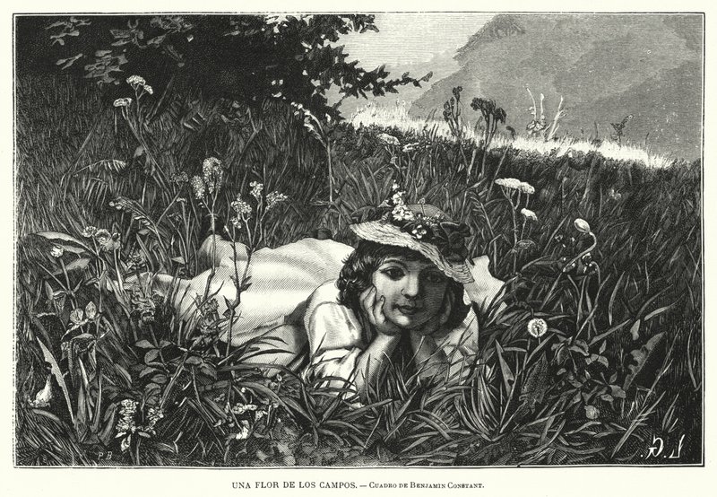 A Flower of the Fields (litho) od Benjamin  Constant