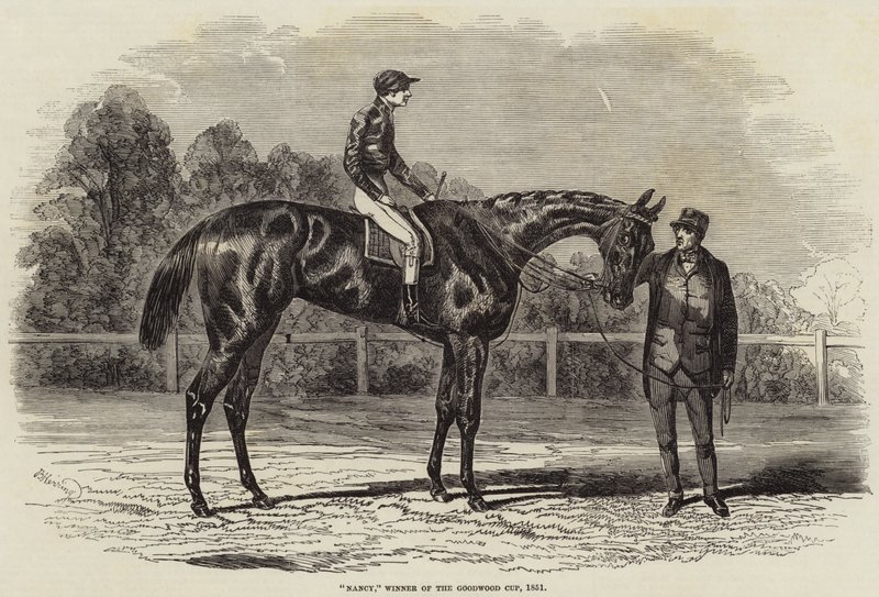 Nancy, vítěz Goodwood Cup, 1851 od Benjamin Herring