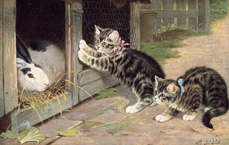 Kočičí pohlednice (barevná litografie) od Bernard Cobbe