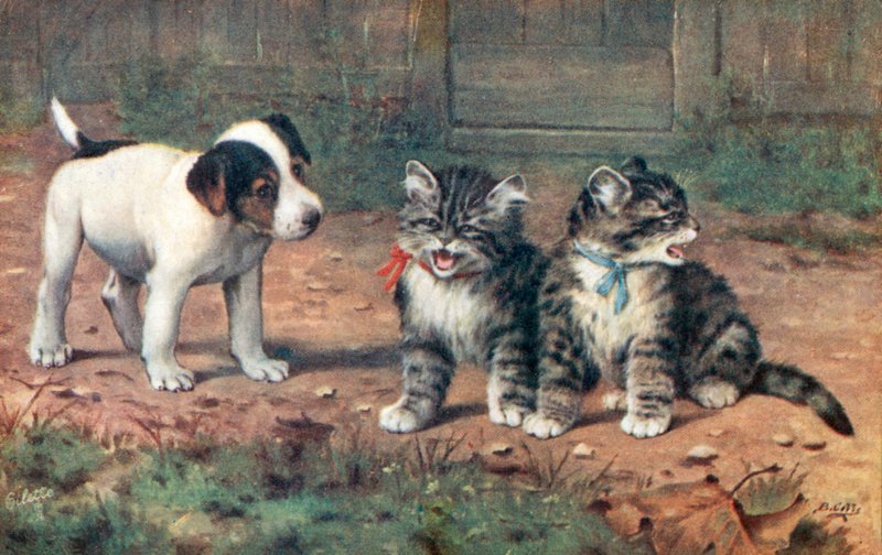 Kočičí pohlednice (barevná litografie) od Bernard Cobbe