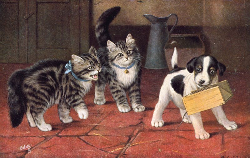 Kočičí pohlednice (barevná litografie) od Bernard Cobbe