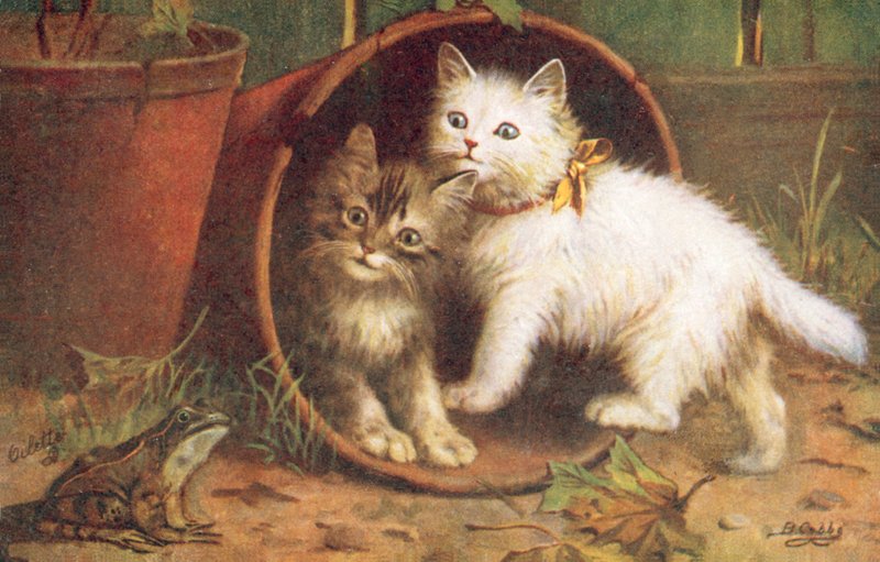 Kočičí pohlednice (barevná litografie) od Bernard Cobbe