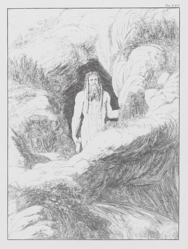 Danteho Božská komedie, Peklo, deska XXV (litografie) od Bernhard Schuler