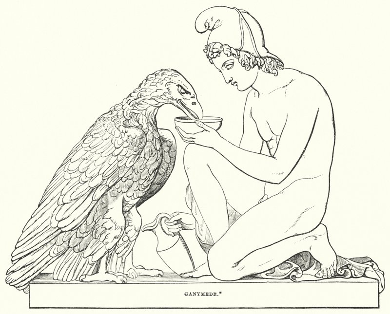 Ganymede od Bertel after Thorvaldsen