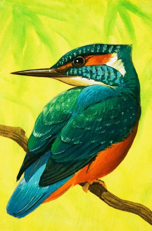 Kingfisher. od Bob Hersey