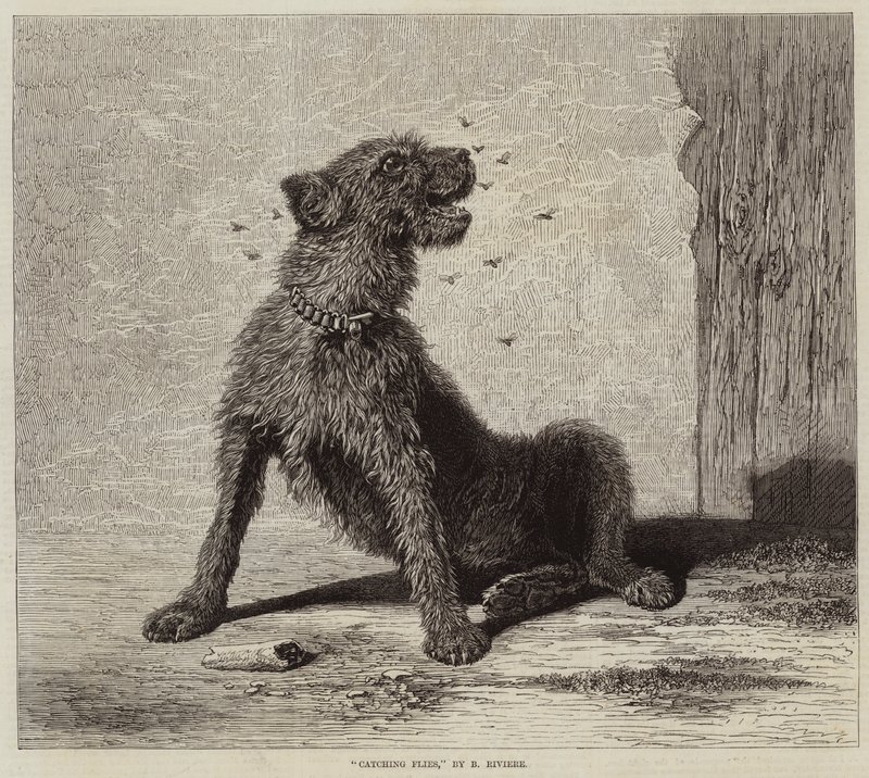 Chytání much od Briton Riviere