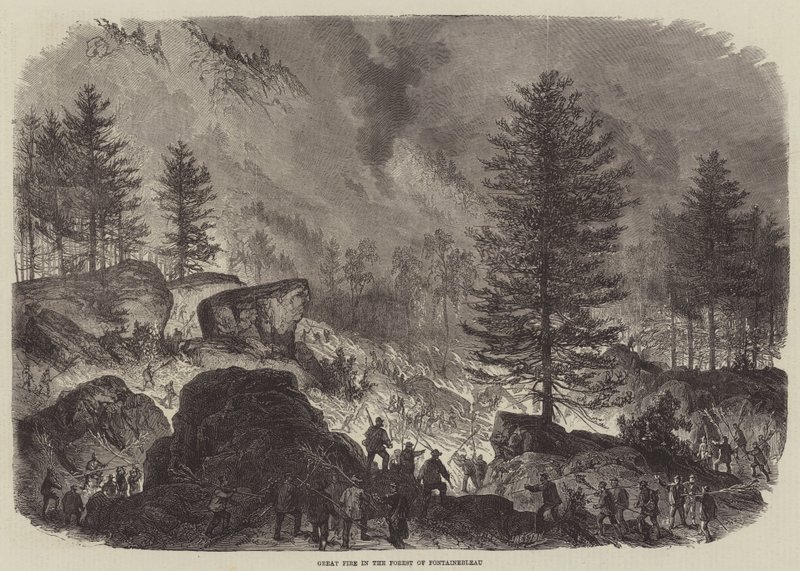 Velký požár v lese Fontainebleau od Burn Smeeton