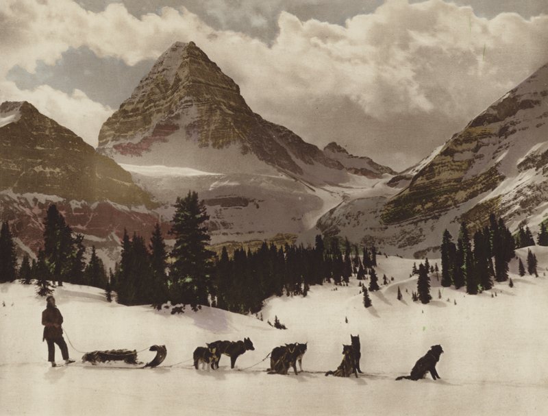 Mount Assiniboine (barevná fotografie) od Byron Hill Harmon
