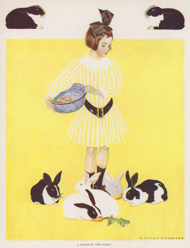 Coles Phillips Girl, přítel rodiny (barevné lito) od C. Coles Phillips