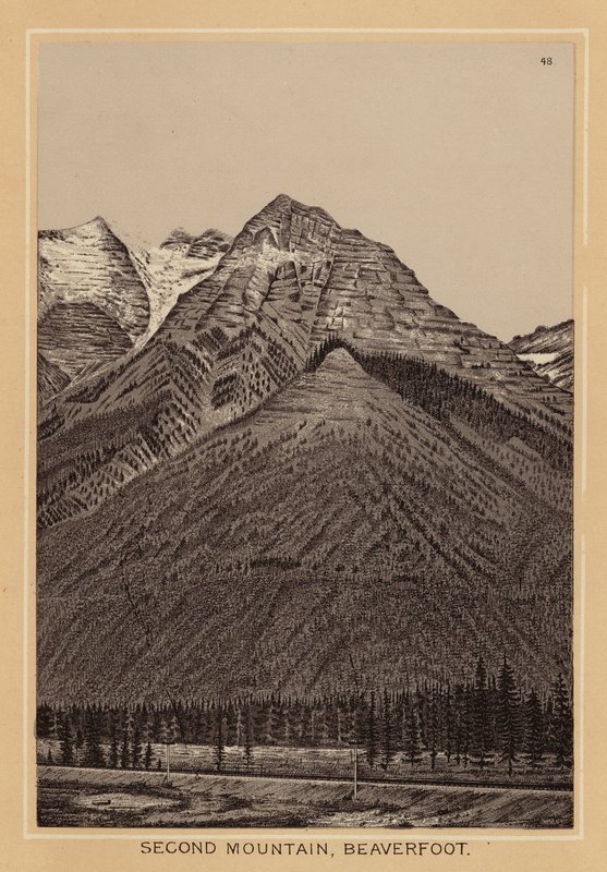 Kanada: Hora Second Mountain, Beaverfoot (litografie) od Canadian School