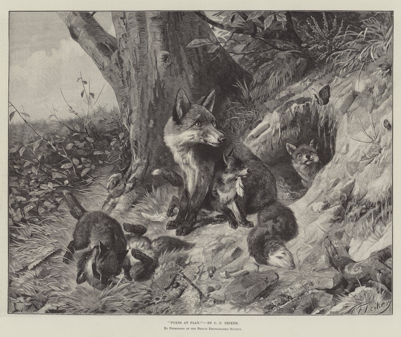 Lišky ve hře od Carl Friedrich Deiker