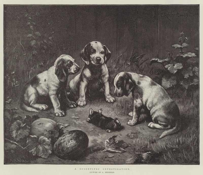 Vědecké zkoumání od Carl Reichert