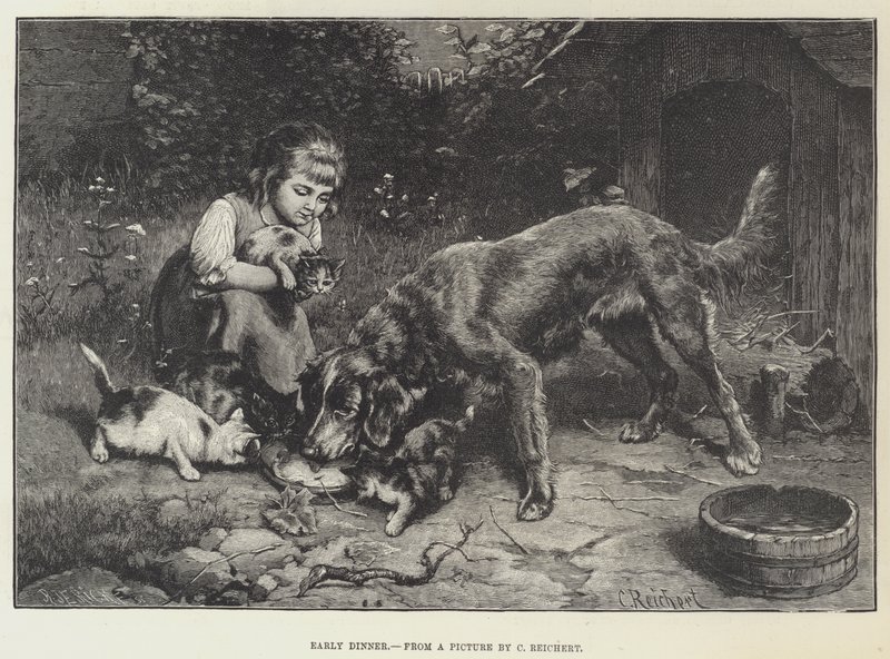Časná večeře od Carl Reichert