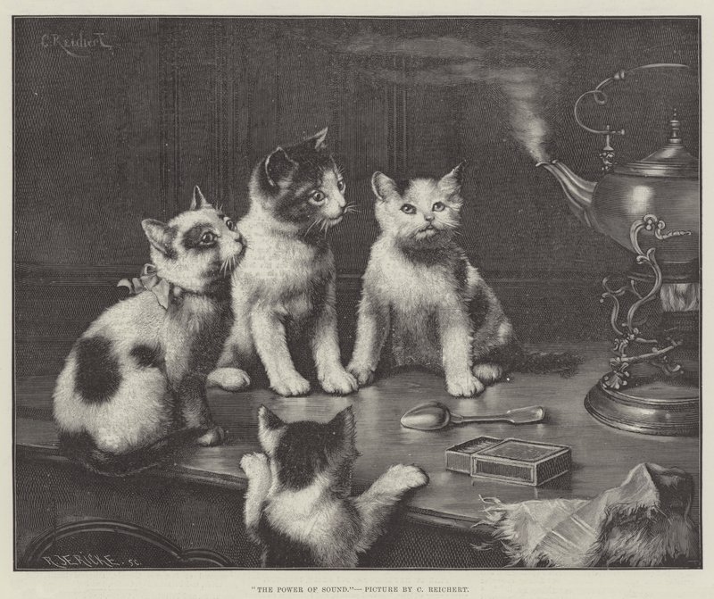 Síla zvuku od Carl Reichert