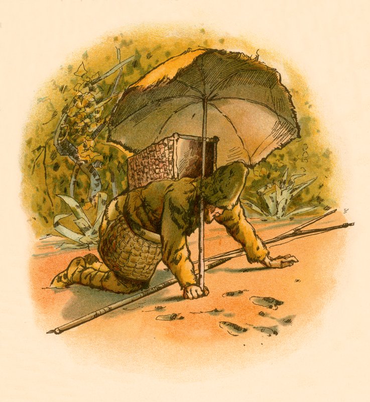 Robinson Crusoe vidí otisky nohou od Carl Marr