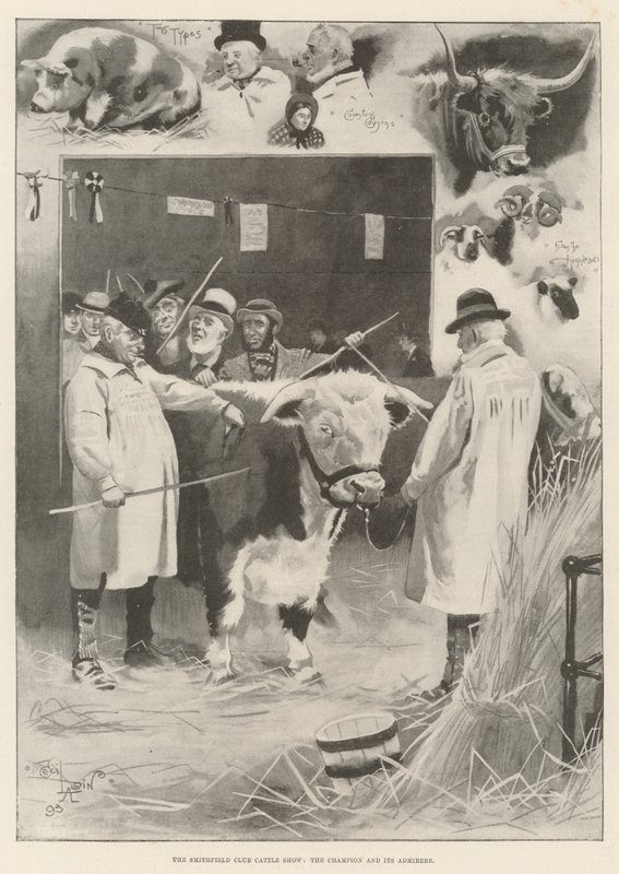 Smithfield Club Cattle Show, šampion a jeho obdivovatelé od Cecil Charles Windsor Aldin