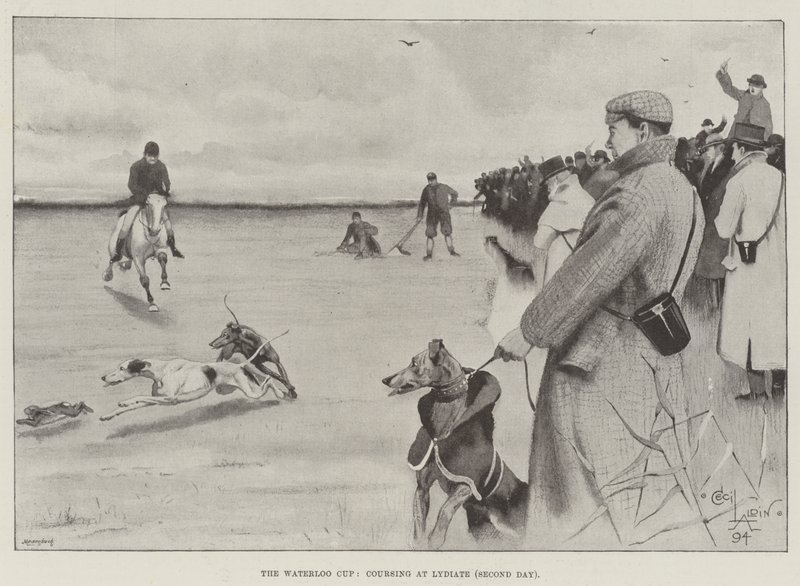 Waterloo Cup, coursing v Lydiate, druhý den od Cecil Charles Windsor Aldin