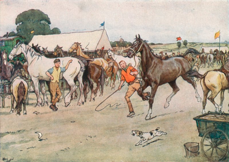 Koňský veletrh. . . „Bylo tam hodně vyjednávání, běhání a porážení“ od Cecil Charles Windsor Aldin