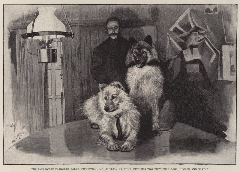 Polární expedice Jackson-Harmsworth, pan Jackson doma se svými dvěma nejlepšími medvědími psy, Nimrodem a Ravingem od Cecil Charles Windsor Aldin
