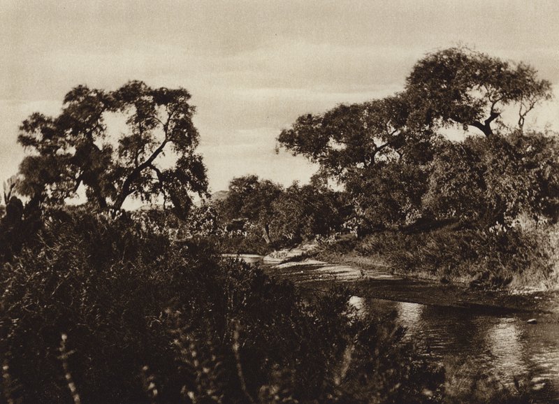 Mexiko: Zacatecas, poblíž ruin La Quemada (č/b foto) od Cecile Seler Sachs