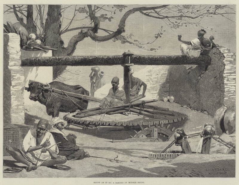 Egypt takový, jaký je, Sakieh ve středním Egyptě od Charles Auguste Loye