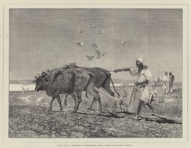 Egypt jako takový, orba v Dolním Egyptě od Charles Auguste Loye