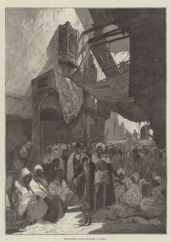 Vystoupení Snake-Charmers v Káhiře od Charles Auguste Loye