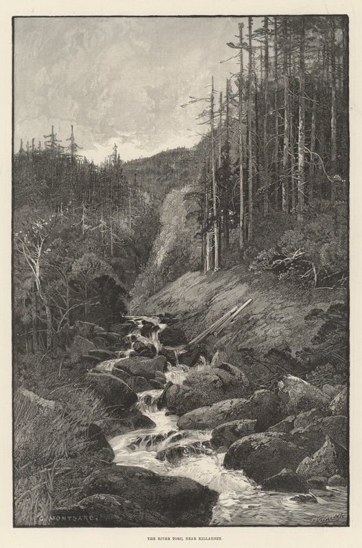 Řeka Torc, poblíž Killarney od Charles Auguste Loye