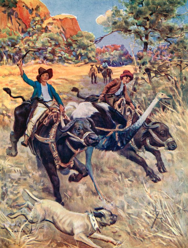 Ilustrace pro švýcarskou rodinu Robinsonů od Charles Daniel Ward