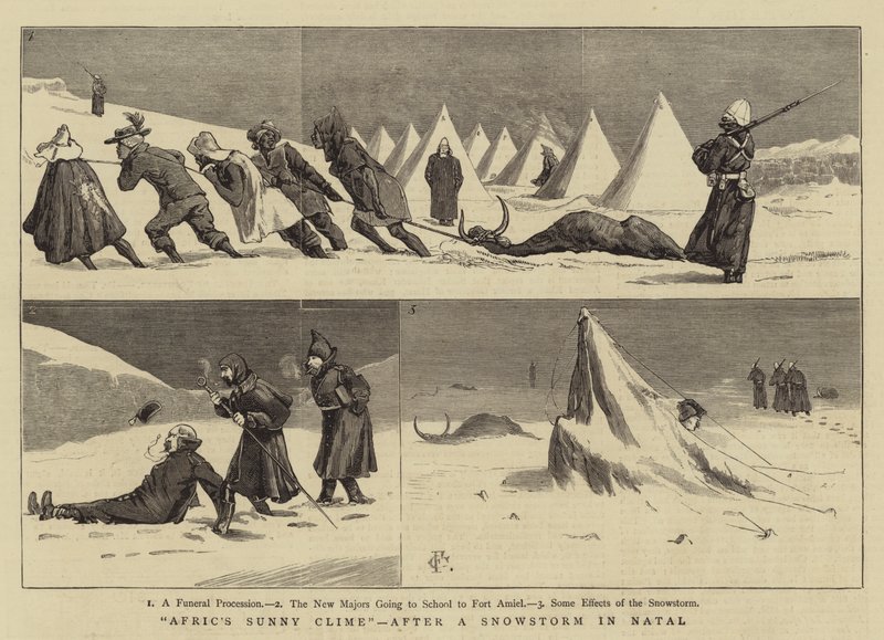 Africké slunečné podnebí po sněhové bouři v Natalu od Charles Edwin Fripp