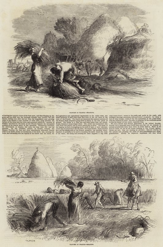 Zemědělství ve Francii od Charles Emile Jacque