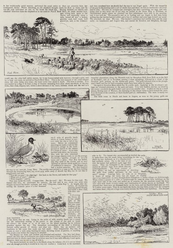 Norfolská zákoutí od Charles J. Staniland