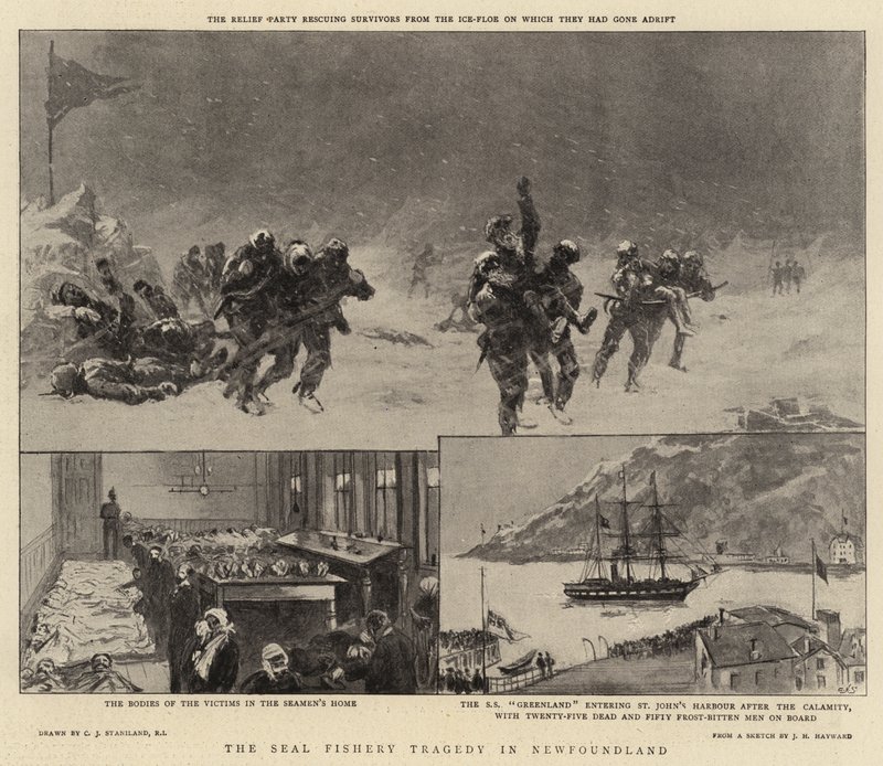 Tragédie lovu tuleňů v Newfoundlandu od Charles J. Staniland
