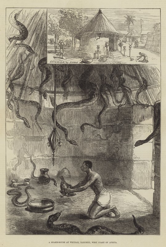 Hadí dům ve Whydah, Dahomey, západní pobřeží Afriky od Sir John Charles Robinson