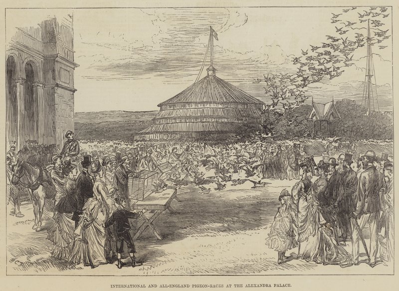 Mezinárodní a celoanglické závody holubů v Alexandra Palace od Sir John Charles Robinson