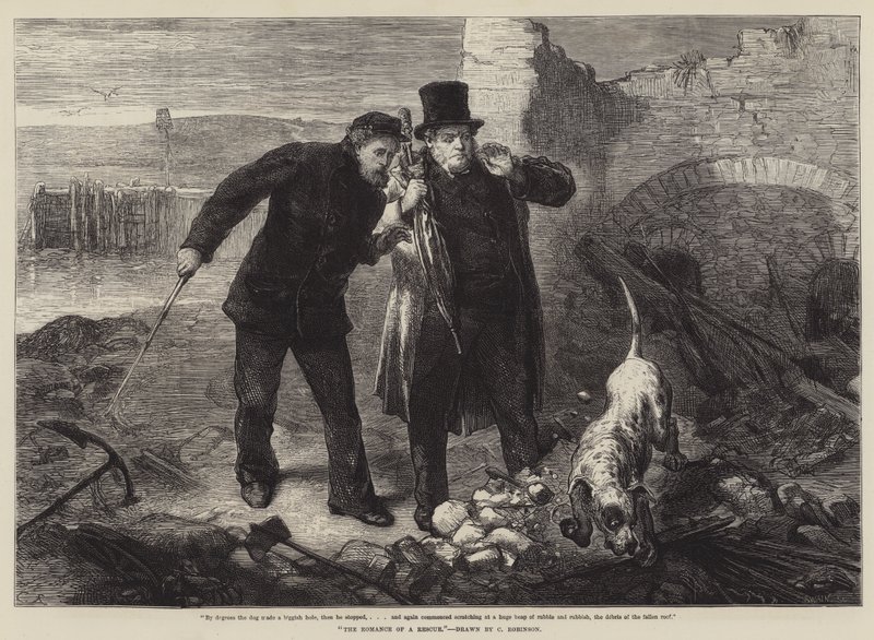 Záchranná romance od Sir John Charles Robinson