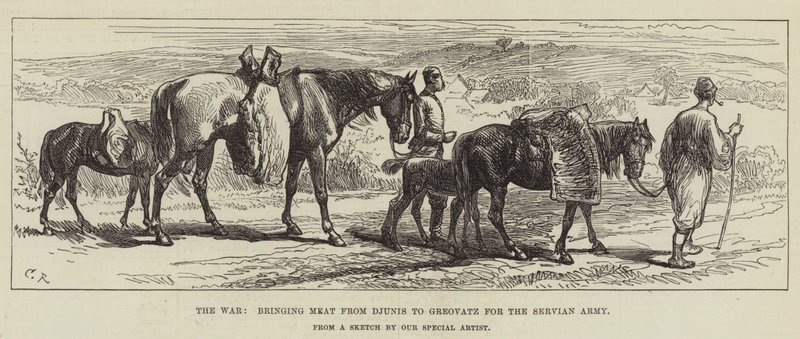 Válka, přivážející maso z Djunisu do Greovatzu pro srbskou armádu od Sir John Charles Robinson