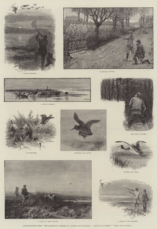 Ilustrace z Badmintonové knihovny sportů a zábav, Moor and Marsh, Field and Covert od Charles Whymper