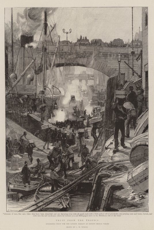 Ovoce z tropů od Charles William Wyllie
