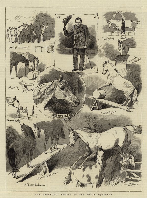 Broncho Horses v Královském akváriu od Charles Burton