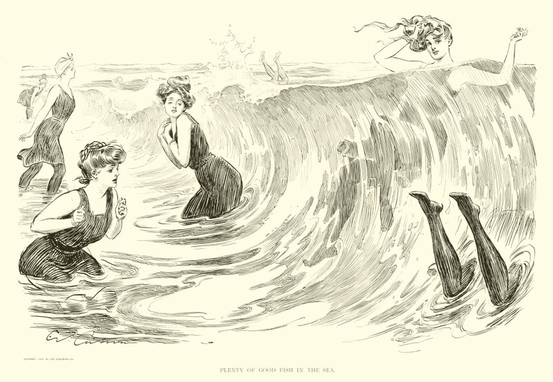 Ilustrace pro The Social Ladder (rytina) od Charles Dana Gibson