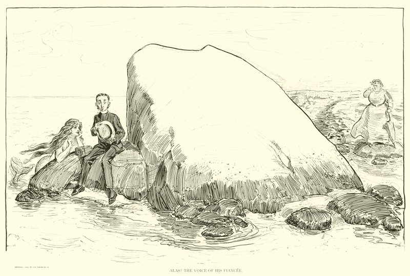 Ilustrace pro The Social Ladder od Charles Dana Gibson