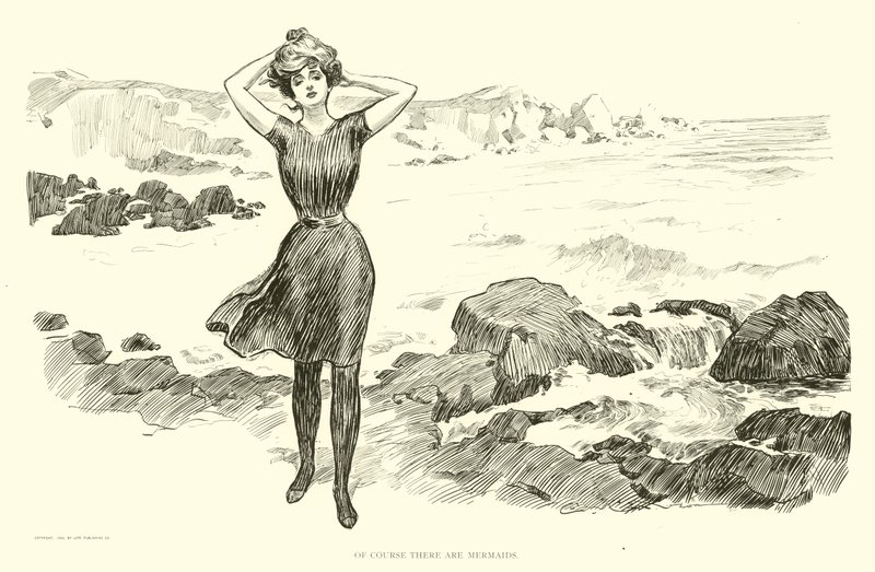 Ilustrace pro The Social Ladder od Charles Dana Gibson