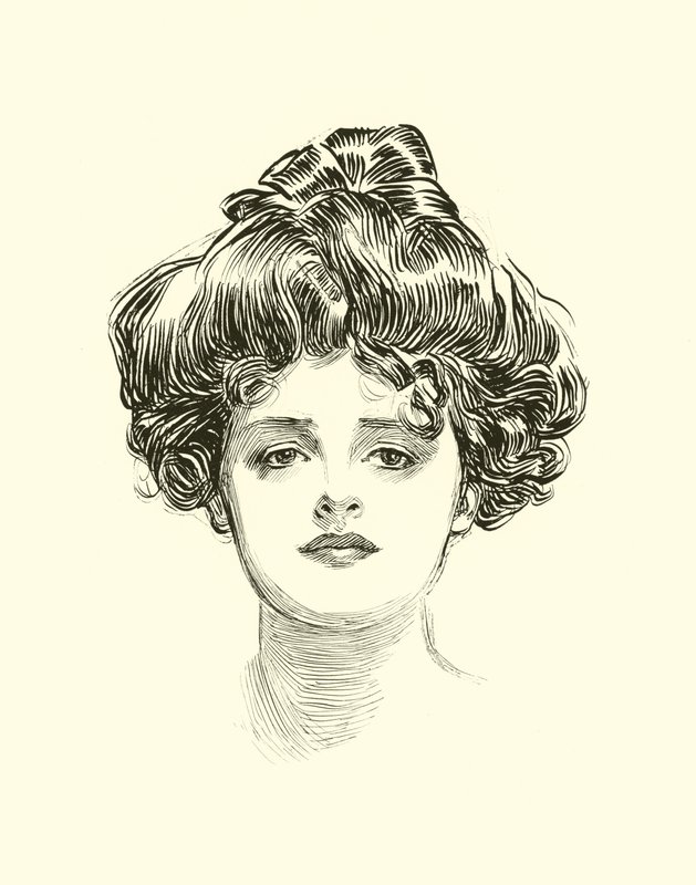 Ilustrace pro The Social Ladder od Charles Dana Gibson