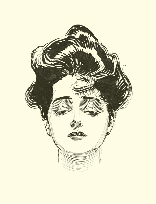 Ilustrace pro The Social Ladder od Charles Dana Gibson